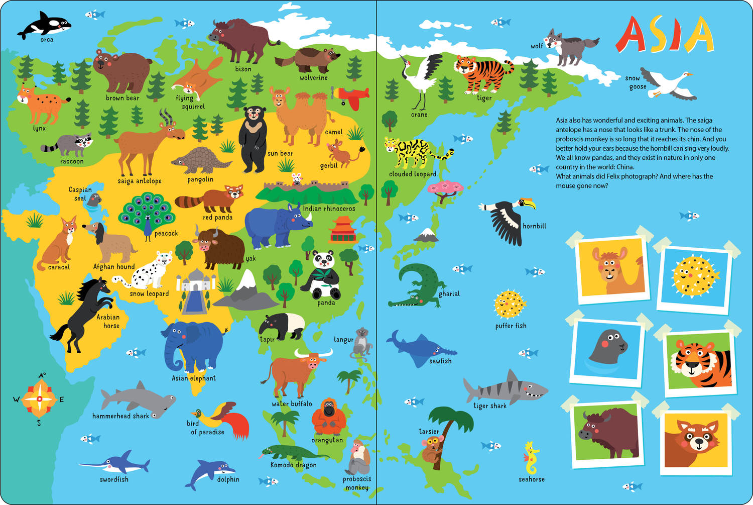 My Animal Atlas: 270 Amazing Animals and Where They Live
