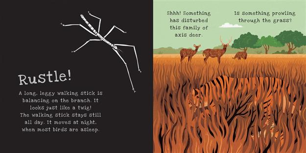 Secrets of Animal Camouflage, A Shine-a-Light Book