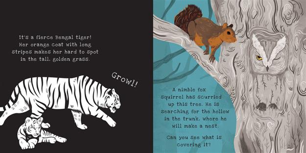 Secrets of Animal Camouflage, A Shine-a-Light Book