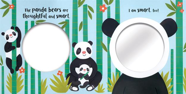 Mirror Mirror Happy Faces