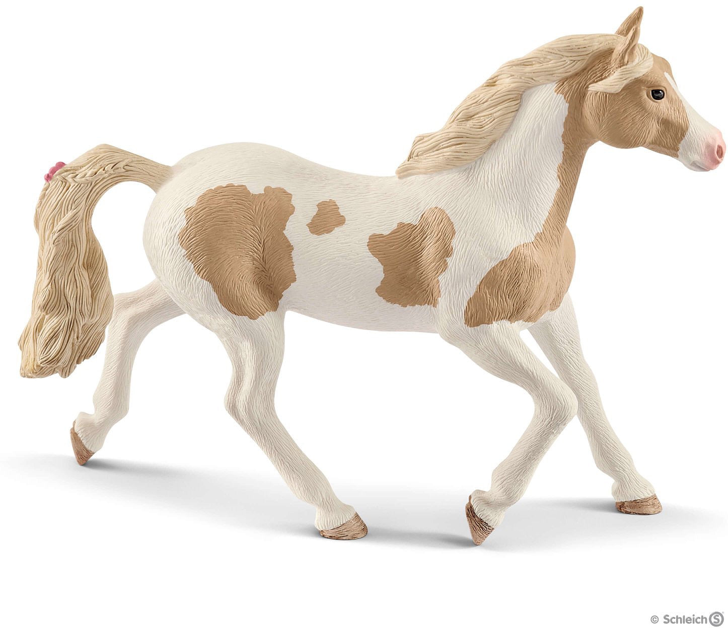 Paint Horse Mare