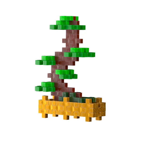 Balanced Bonsai Plant Packet