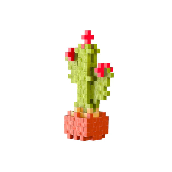 Calm Cactus Plant Packet