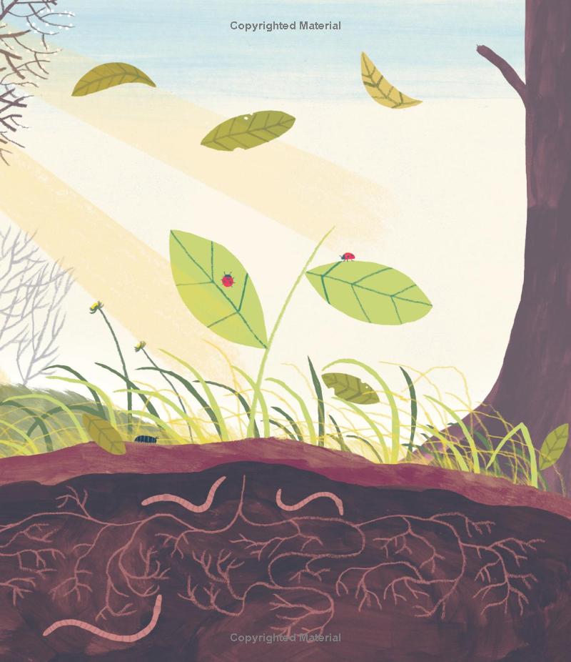 Creep Leap Crunch: A Food Chain Story