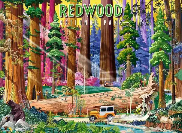 Redwood National Park 500 Piece Puzzle