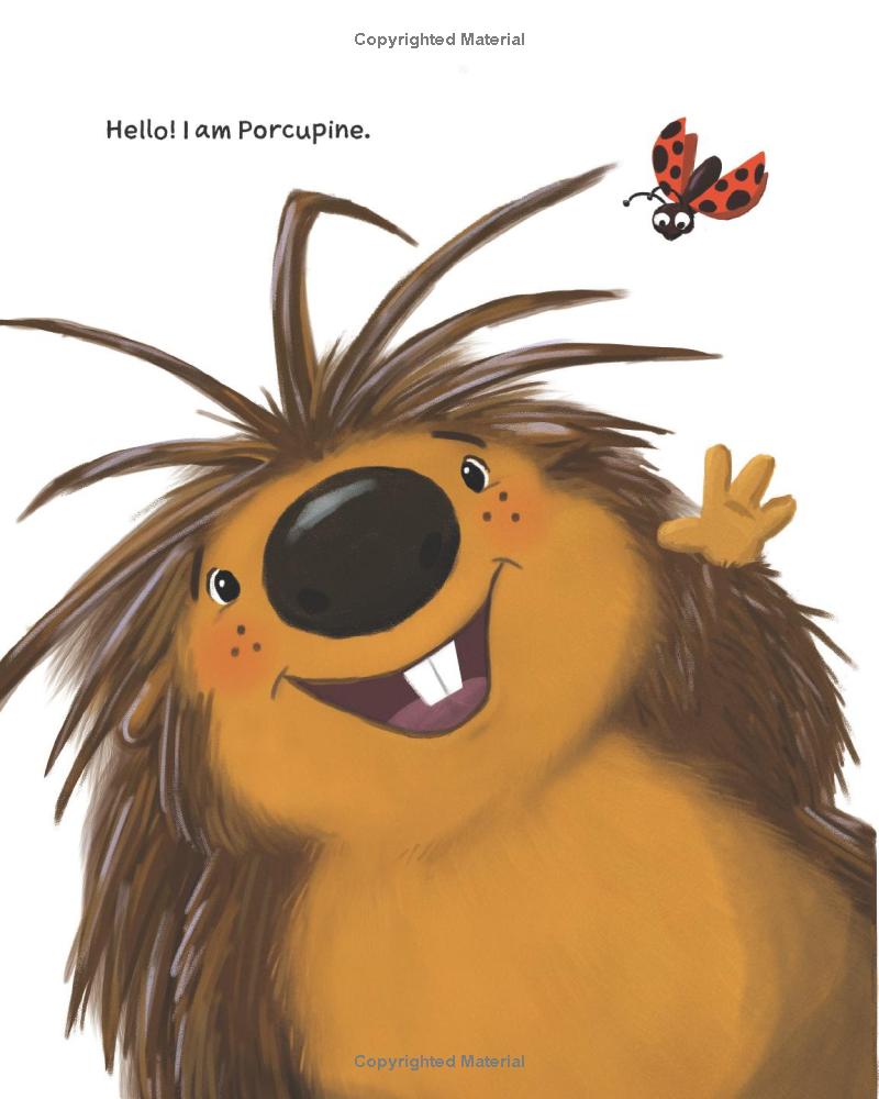 Porcupine Had a Fuzzy Sweater