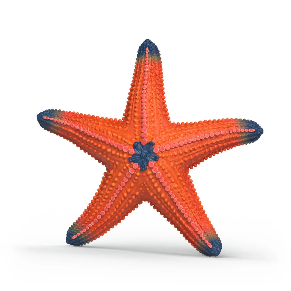 Starfish - Color Change