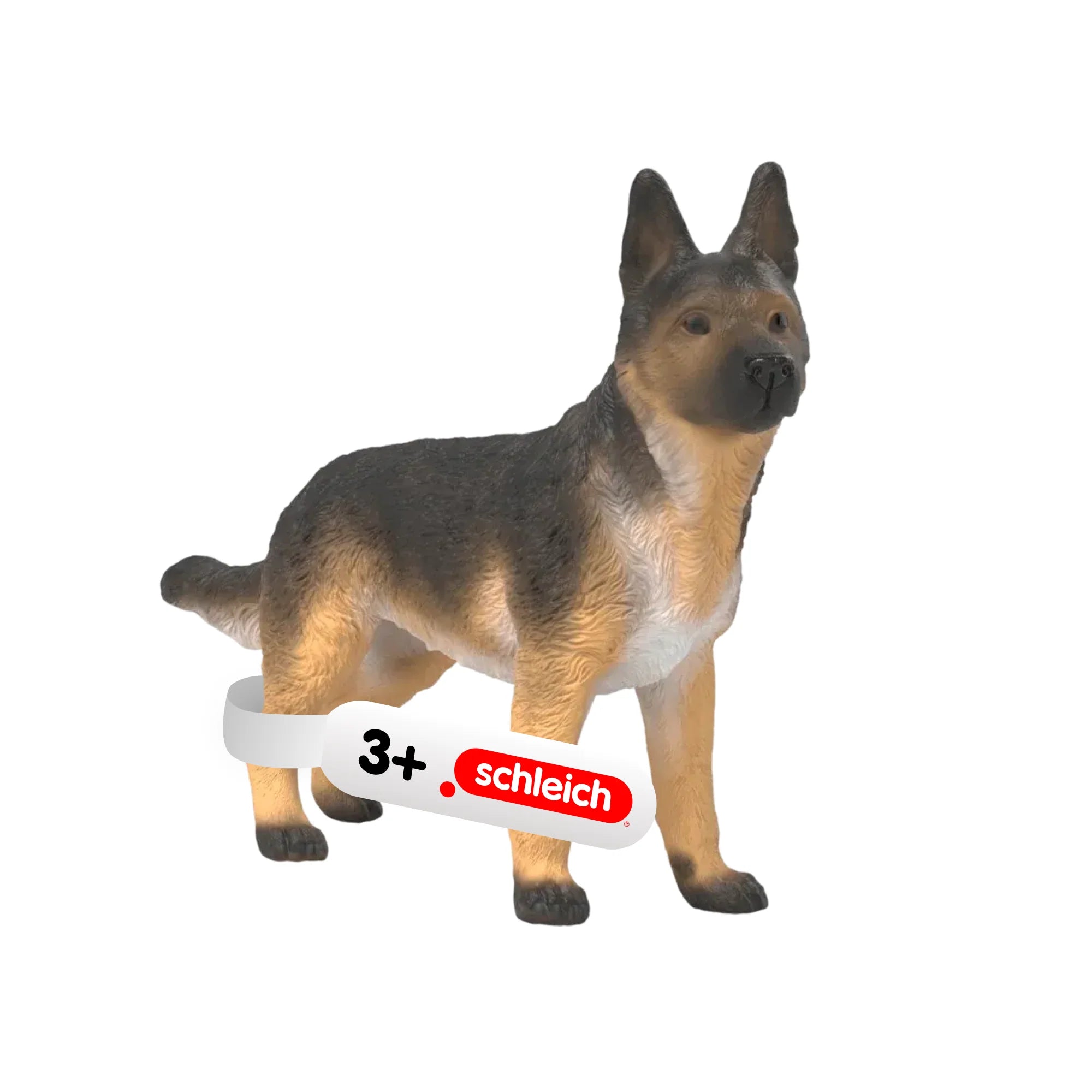 German Shepherd Dog