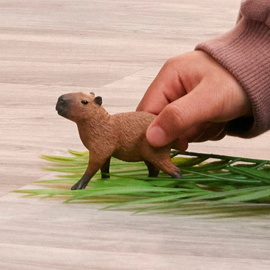 Capybara