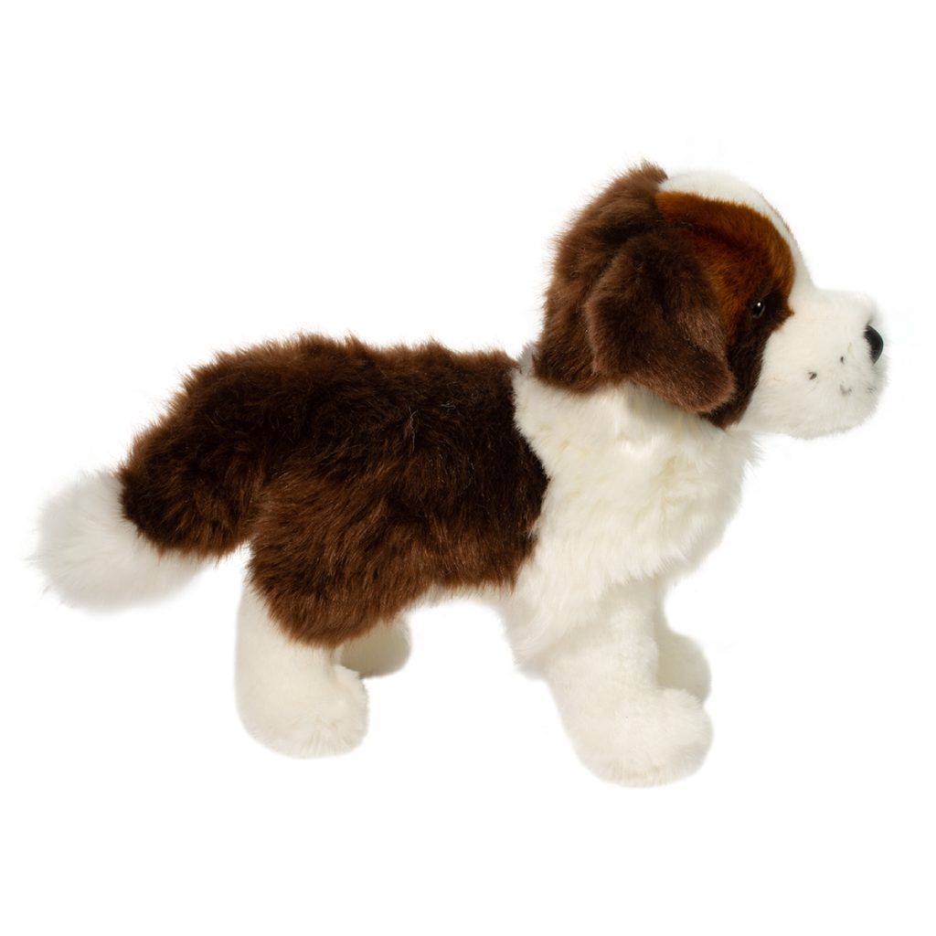 Brutus St. Bernard