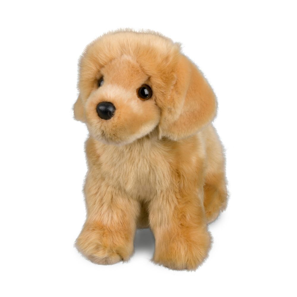 Chap Golden Retriever