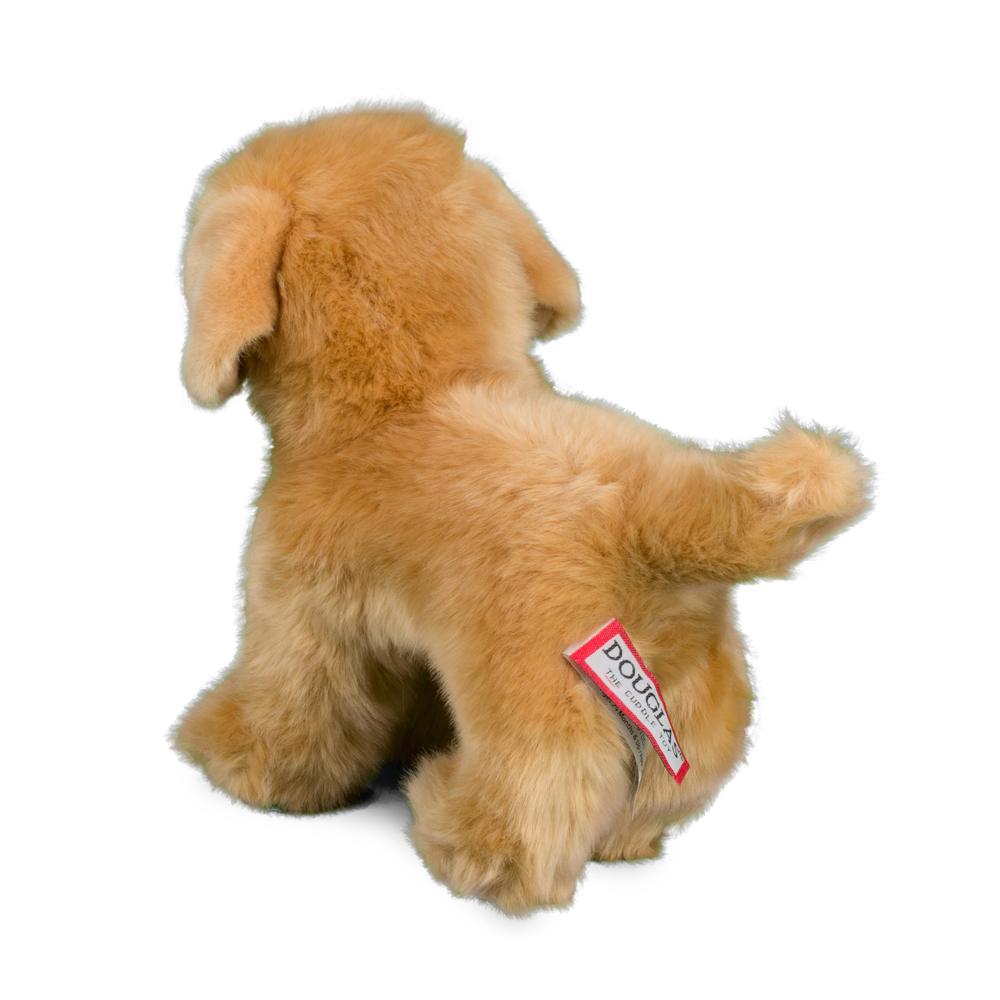 Chap Golden Retriever