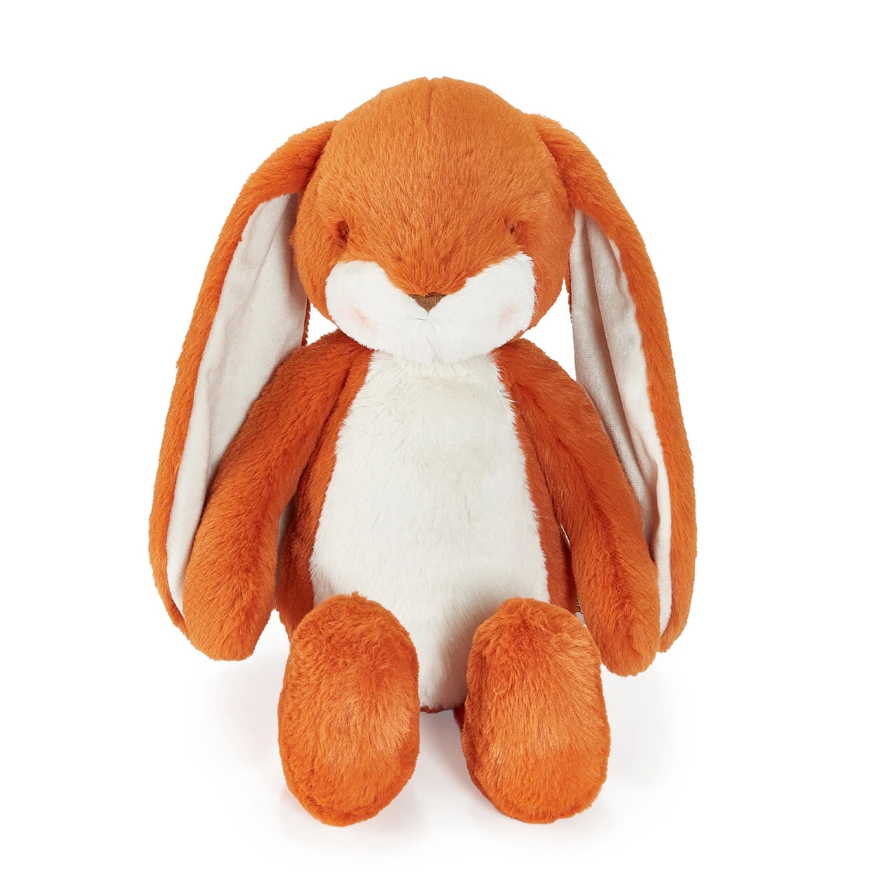 Sweet Nibble Bunny Carrot