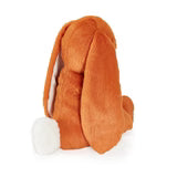 Sweet Nibble Bunny Carrot