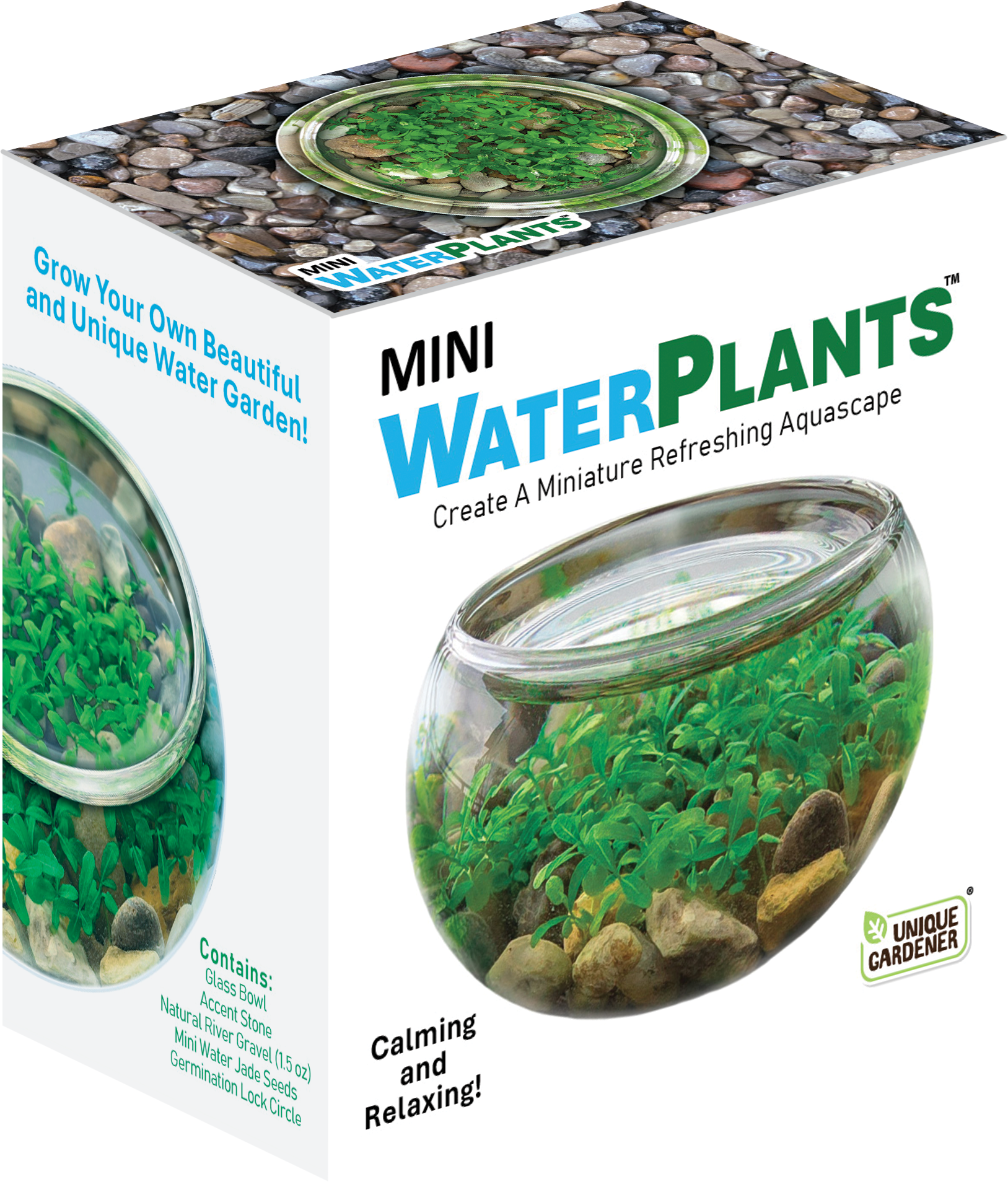 Mini WaterPlants - Create A Miniature Aquascape