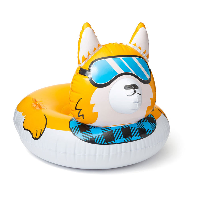 Corgi Snow Tube