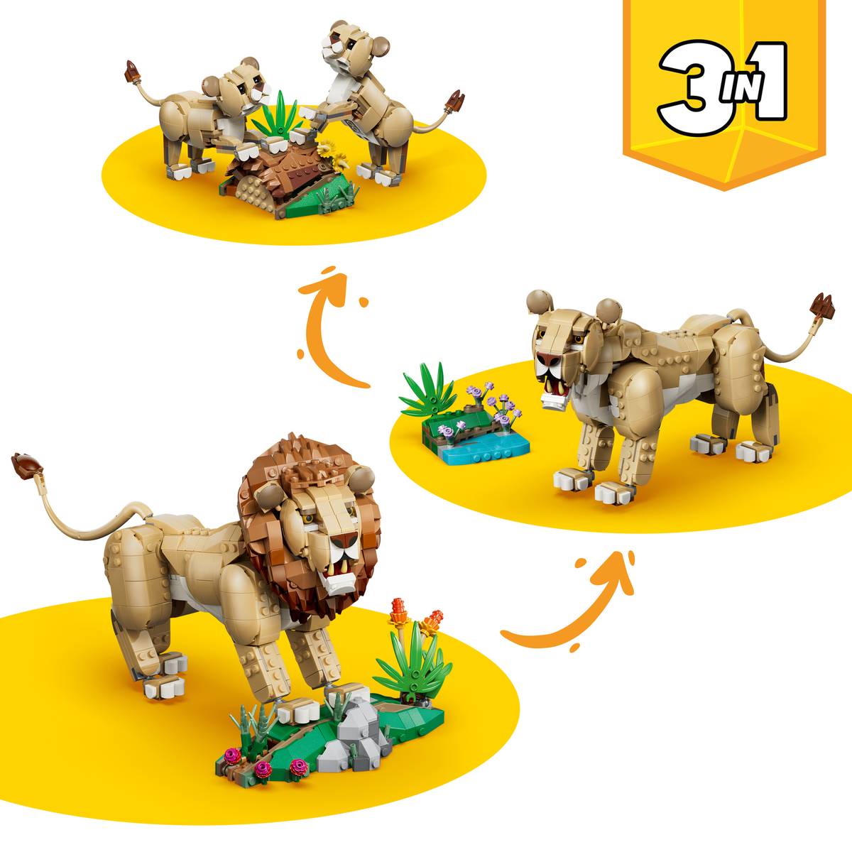 Wild Animals: Majestic Lion