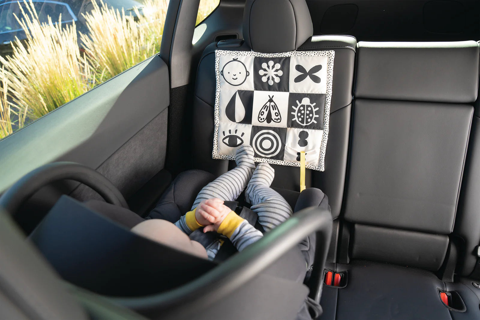 Wimmer 3-in-1 Play Mat Activity Toy