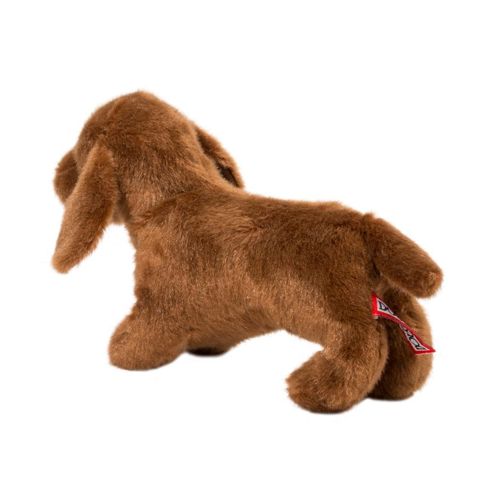 Dilly Dachshund