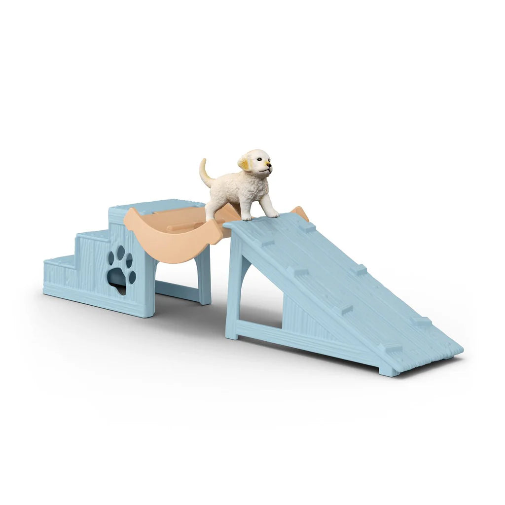 Puppy Playtime