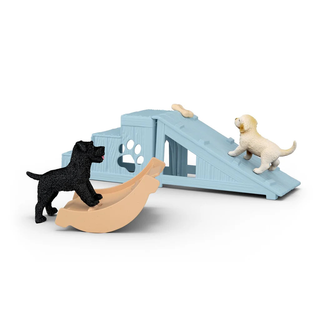 Puppy Playtime