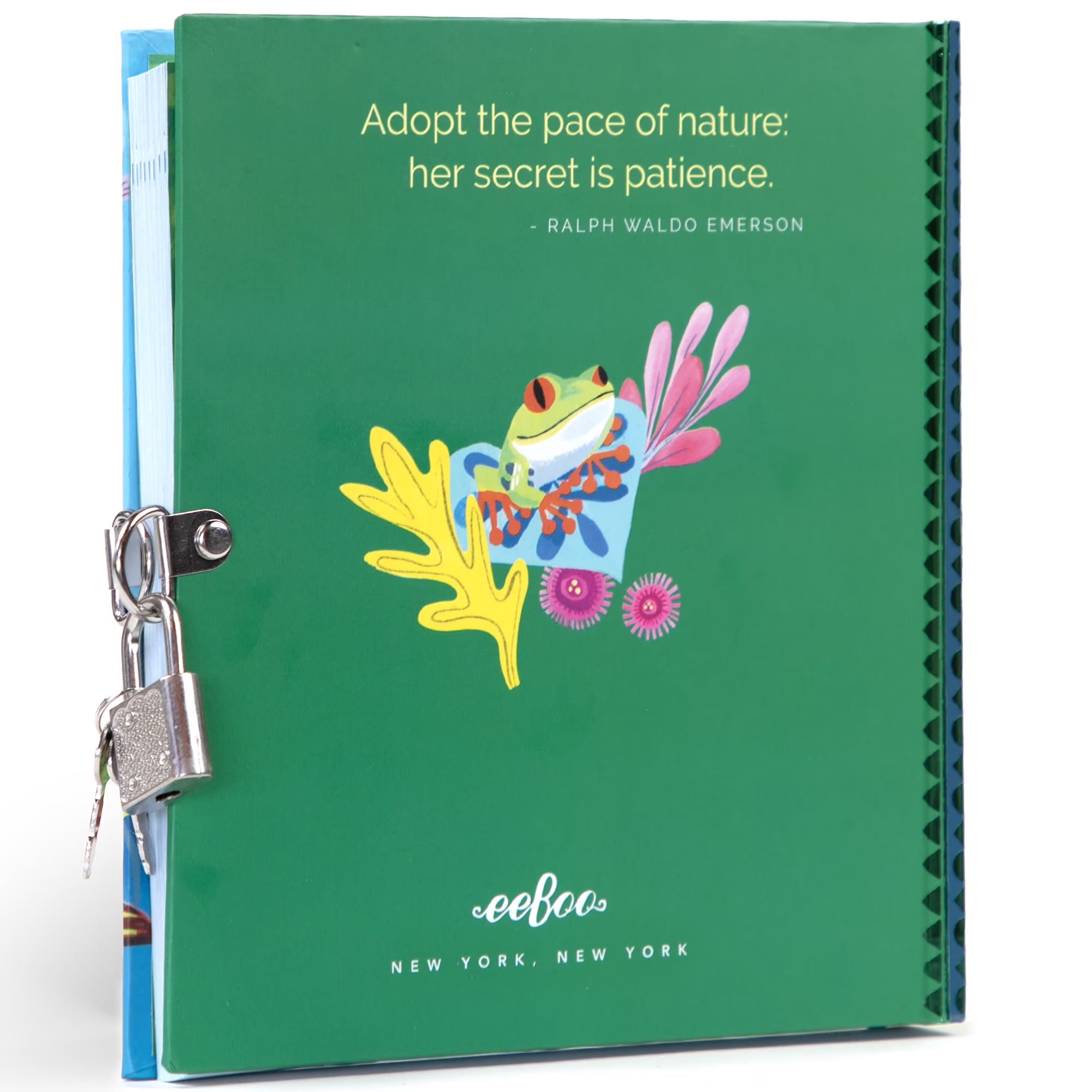 Rainforest Animals Journal