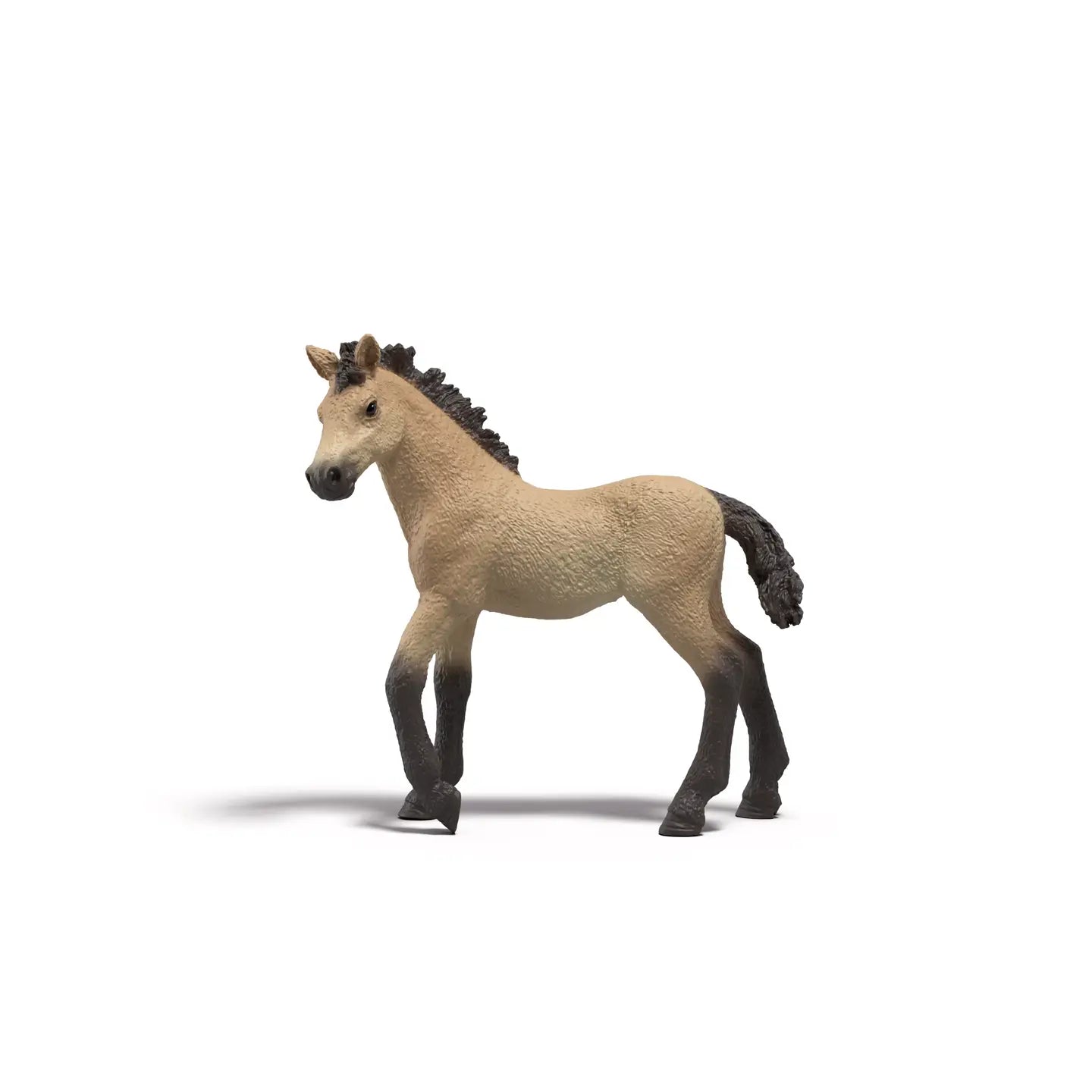 HC Foals Gravity Feed