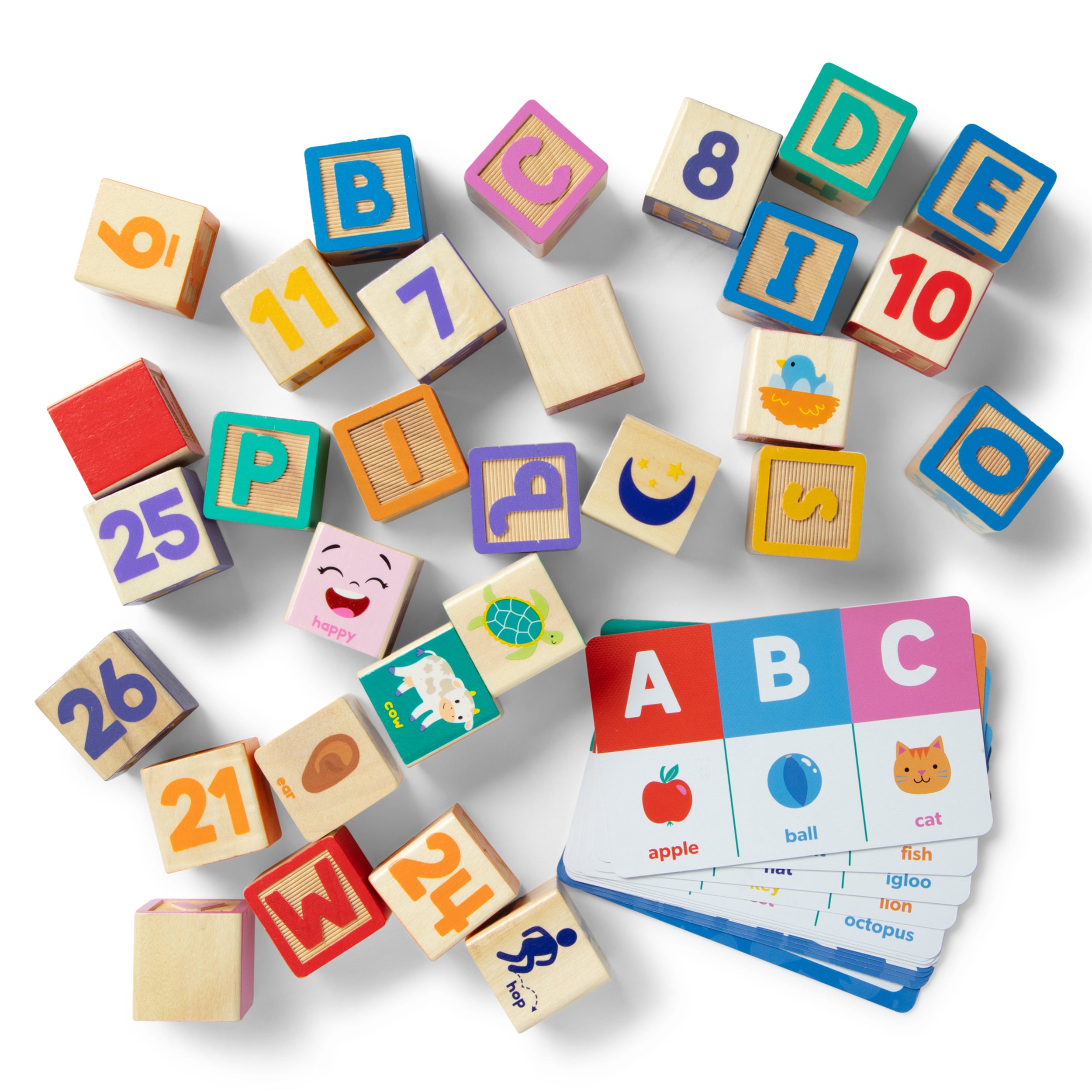 Ms. Rachel Blocks and Activity Cards