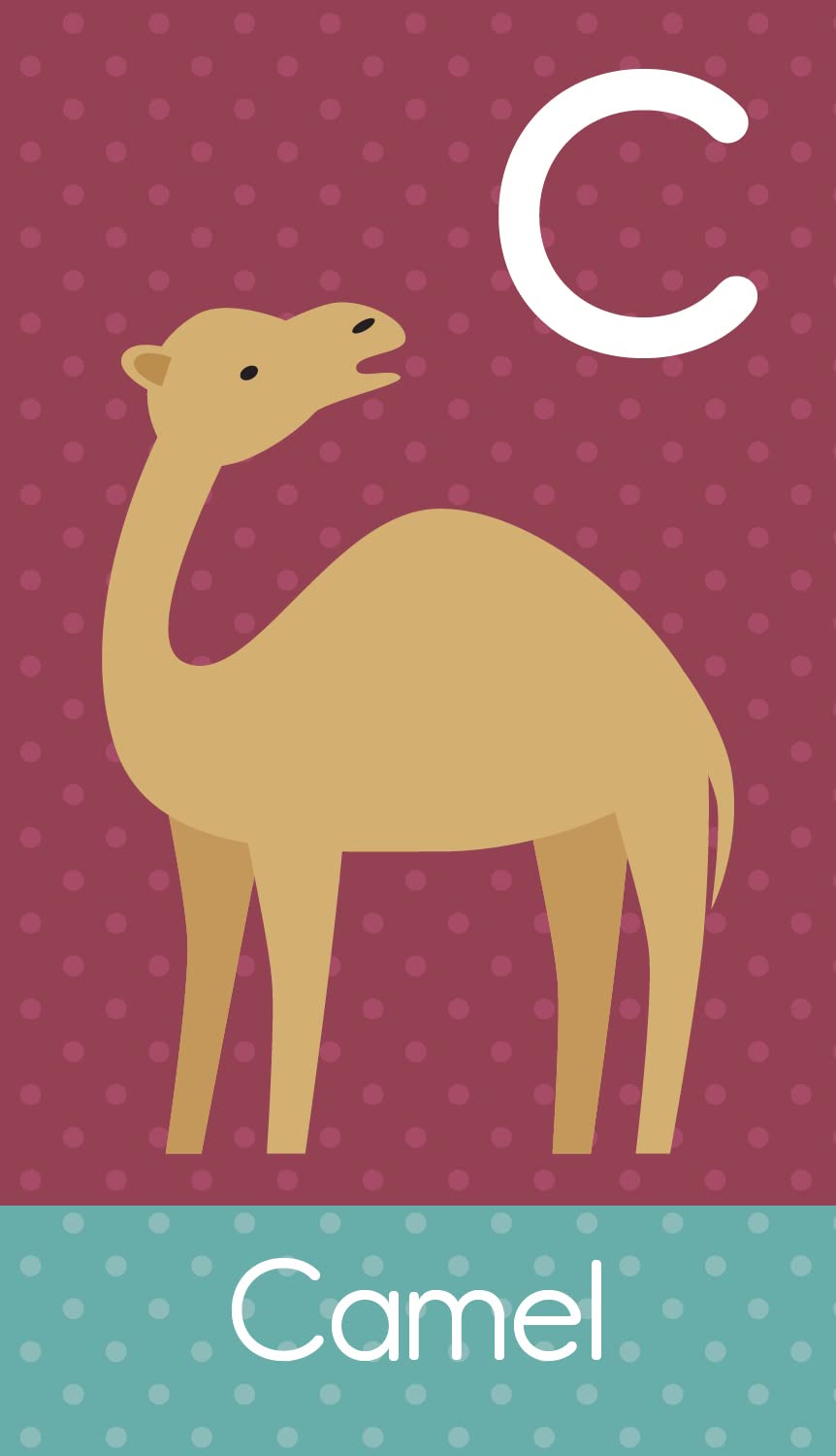 ABC Animals: SmartFlash(TM) - Cards for Curious Kids