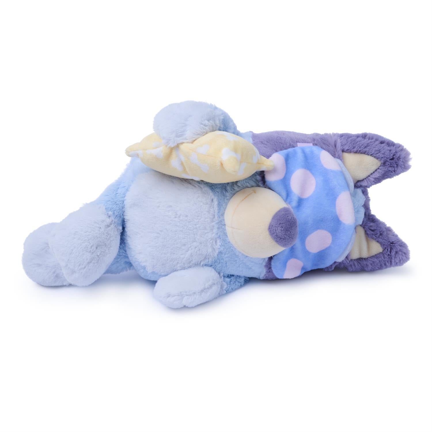 Bedtime Bluey 13`