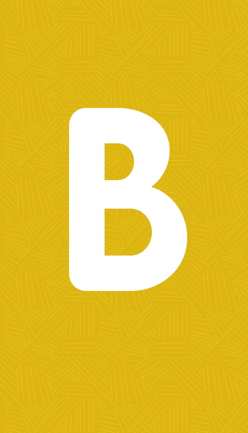 ABC Animals: SmartFlash(TM) - Cards for Curious Kids