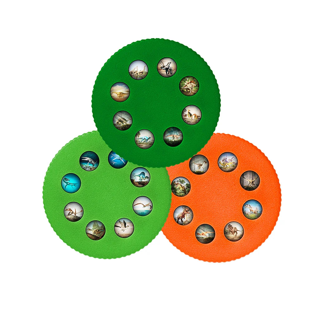 Wonder Lights Educational Flashlight Projectors: 4 styles - Dinosaurs