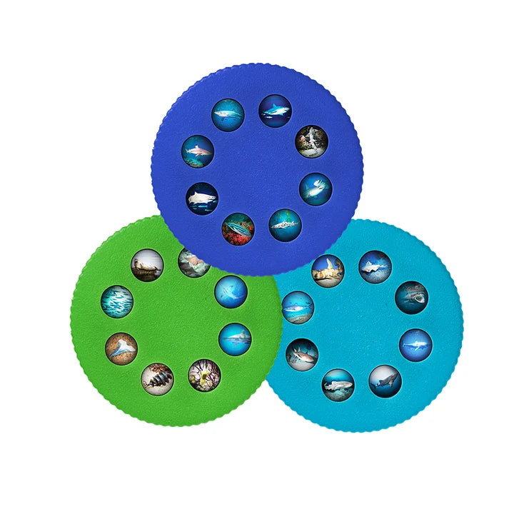 Wonder Lights Educational Flashlight Projectors: 4 styles - Sharks