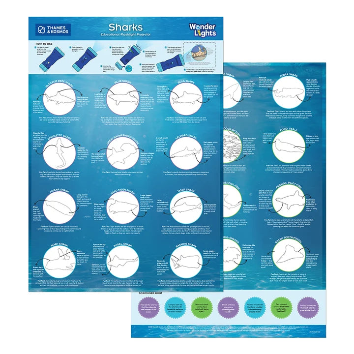 Wonder Lights Educational Flashlight Projectors: 4 styles - Sharks