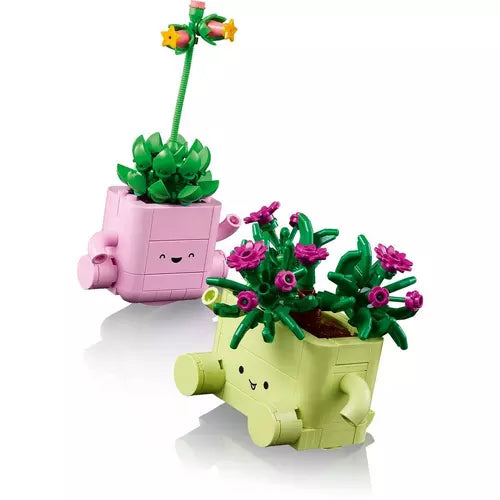 Rocking Plants