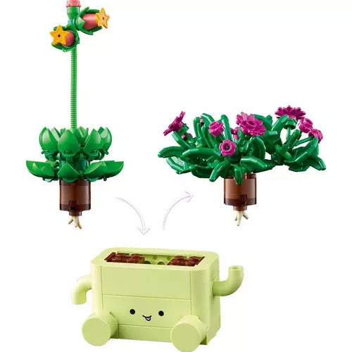 Rocking Plants