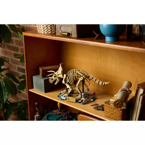 JURASSIC WORLD Dinosaur Fossils Triceratops