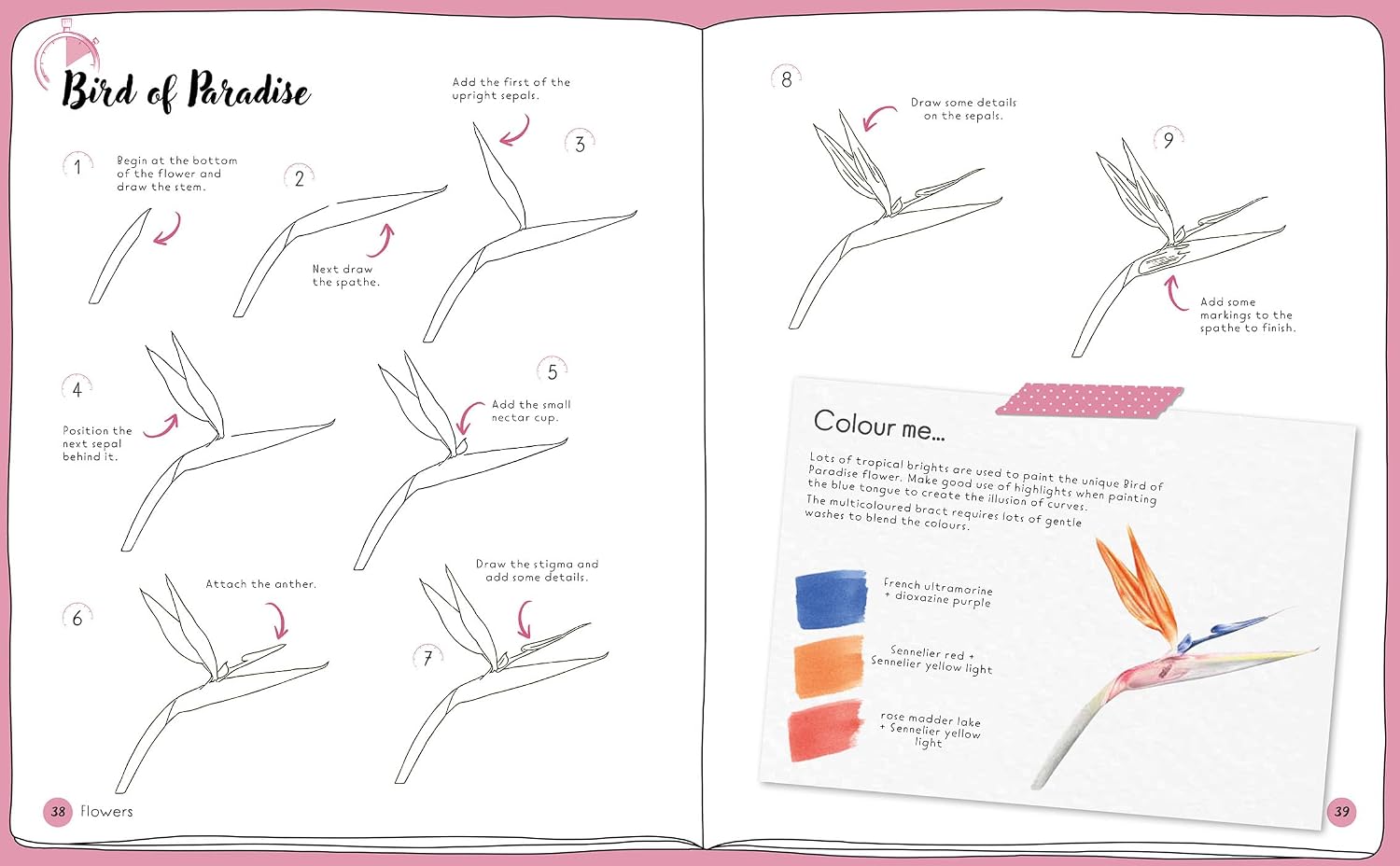 DRAW IN 10 MINUTES: BOTANICALS