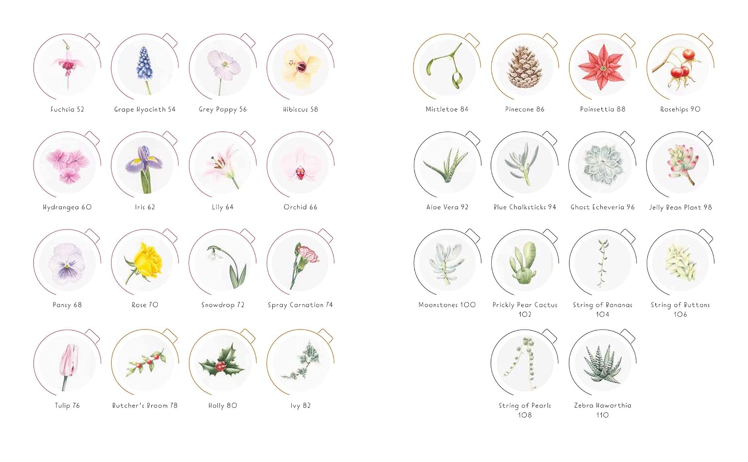 DRAW IN 10 MINUTES: BOTANICALS