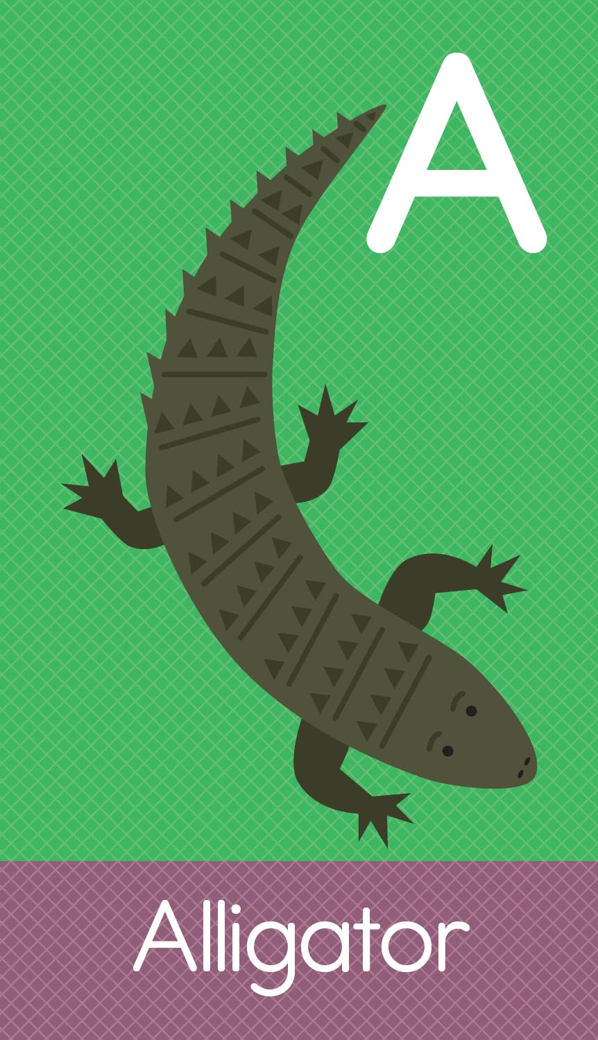 ABC Animals: SmartFlash(TM) - Cards for Curious Kids