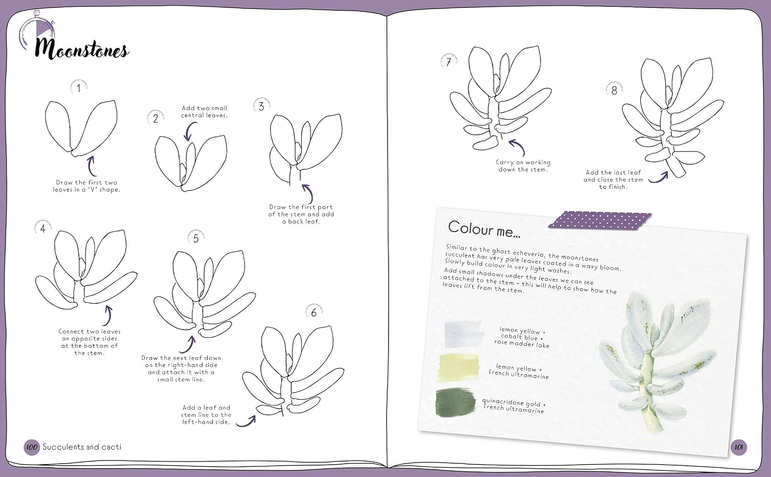 DRAW IN 10 MINUTES: BOTANICALS