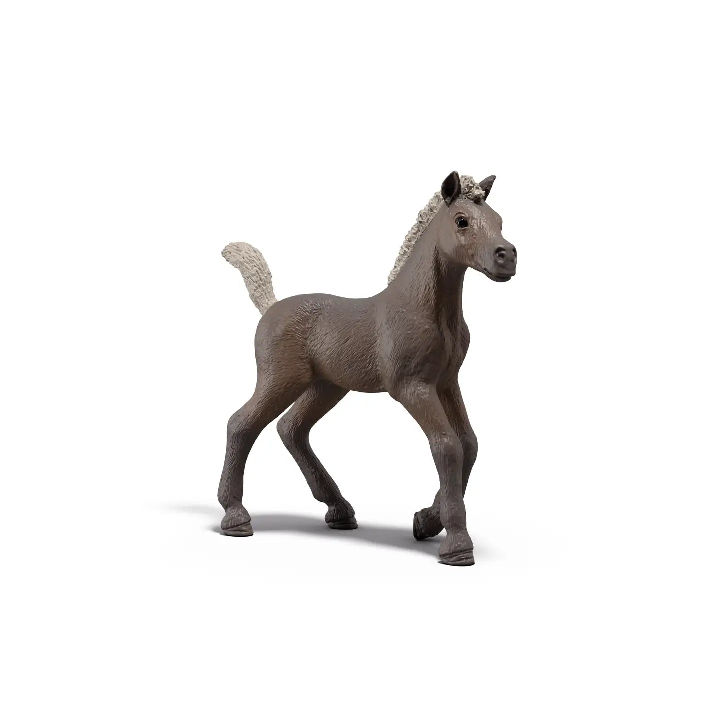HC Foals Gravity Feed