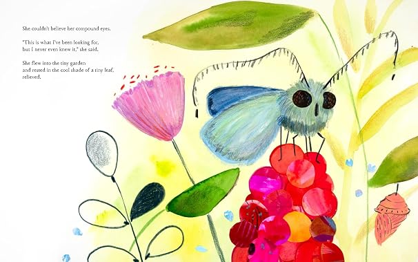 Tiny Garden: A Picture Book