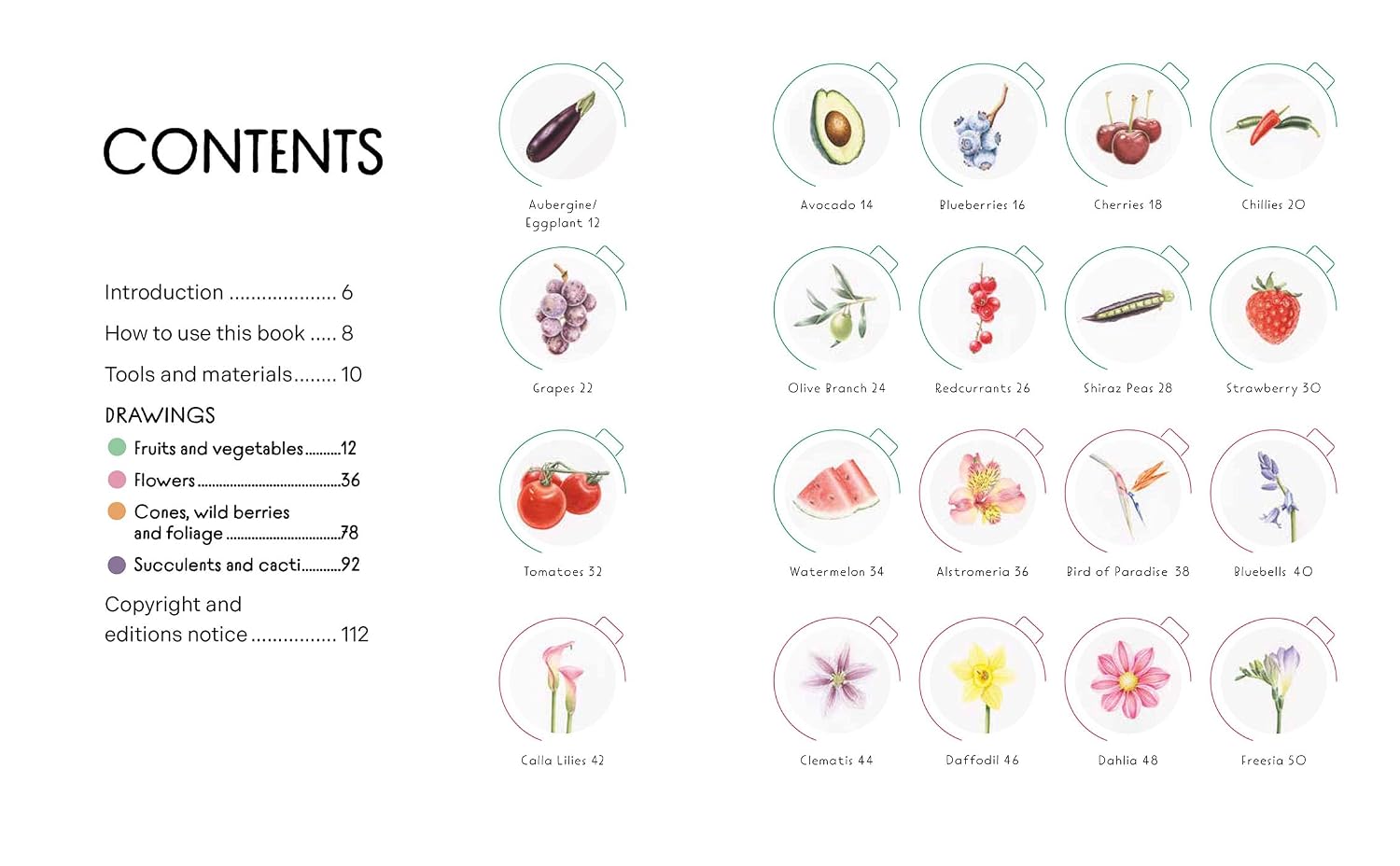 DRAW IN 10 MINUTES: BOTANICALS