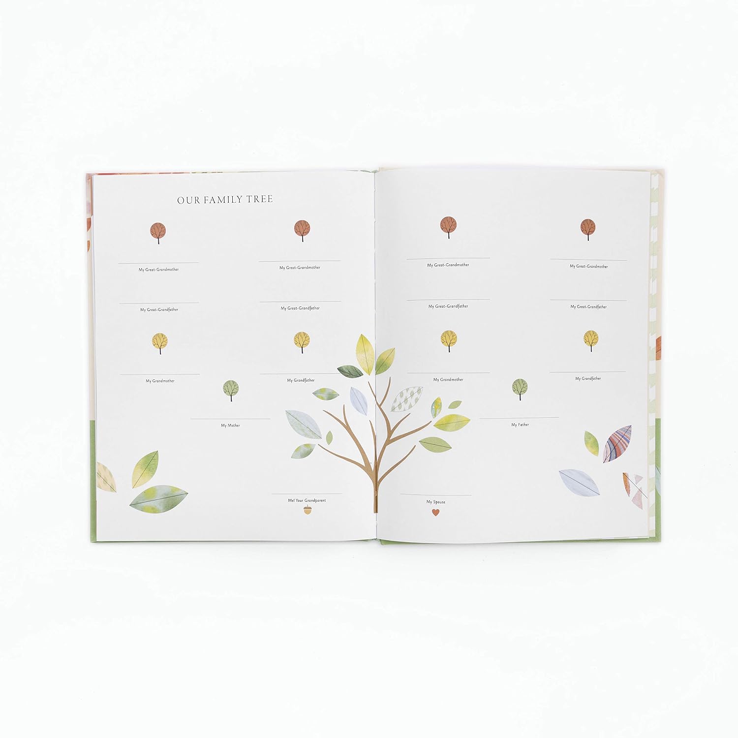 Dear Grandchild, This Is Me: A Gift of Stories, Wisdom, and Off-the-Record Tales