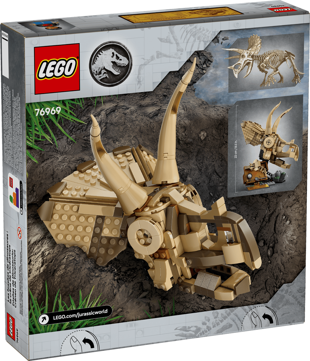 Dinosaur Fossils: Triceratops