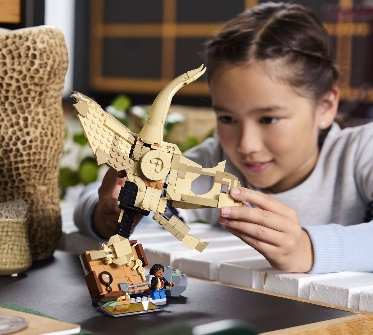 Dinosaur Fossils: Triceratops