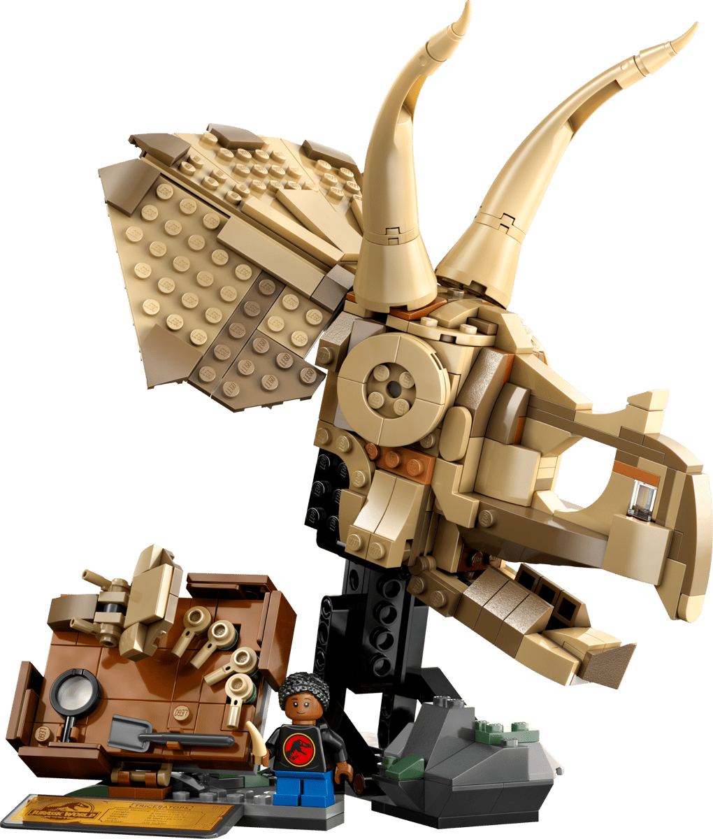 Dinosaur Fossils: Triceratops
