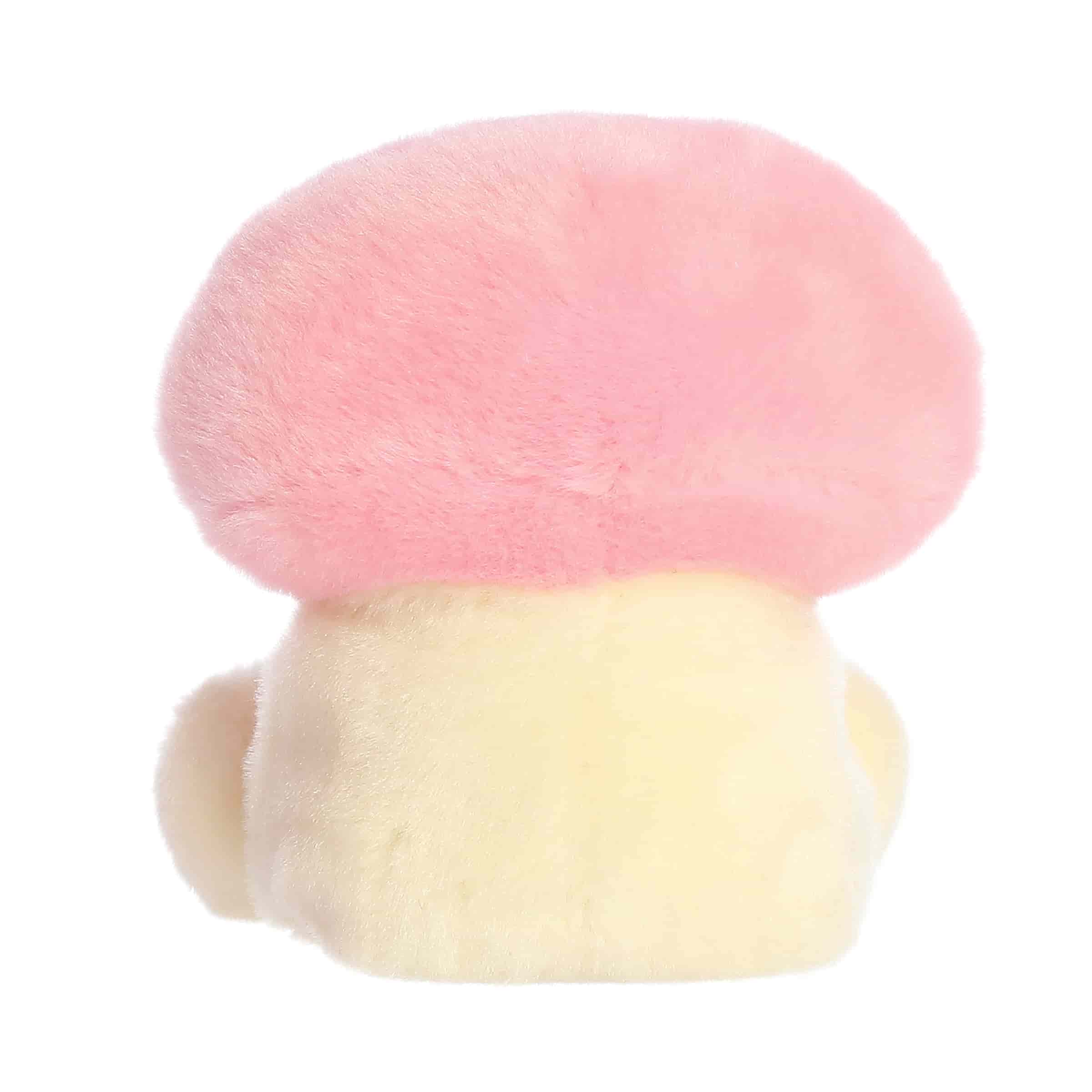 Brooklyn Mushroom
