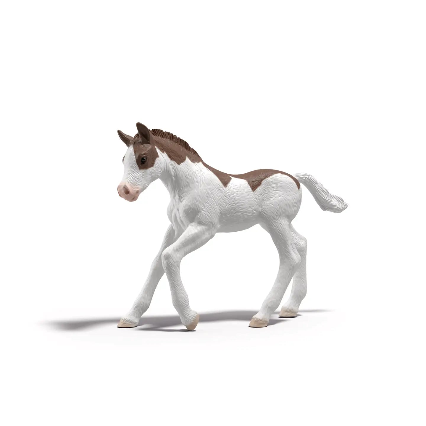 HC Foals Gravity Feed
